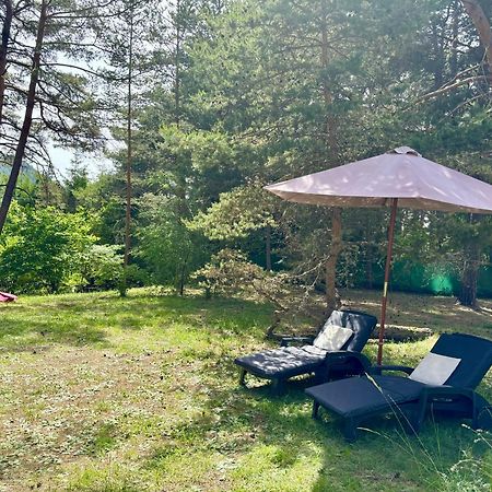 Large Riverside Chalet Near Gorges Du Verdon La Bastide  Екстериор снимка