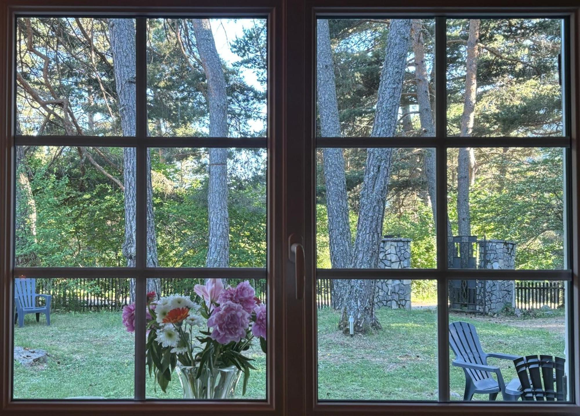 Large Riverside Chalet Near Gorges Du Verdon La Bastide  Екстериор снимка